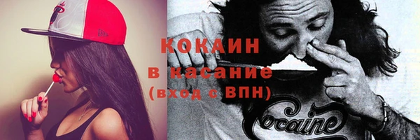 МДПВ Ельня