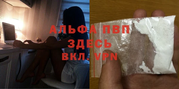МДПВ Ельня