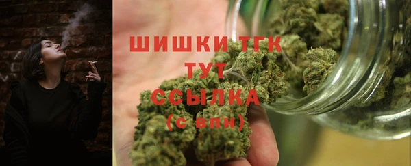 МДПВ Ельня