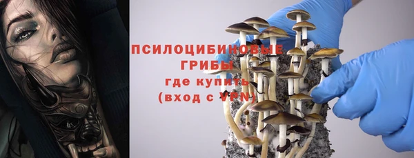 шишки Елизово