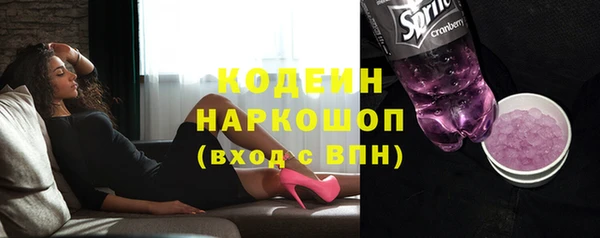 шишки Елизово