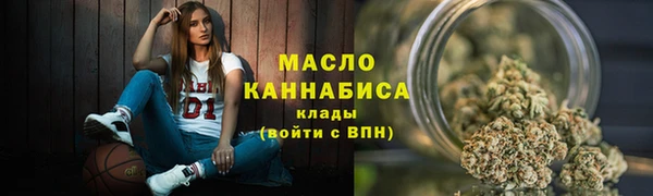 МДПВ Ельня