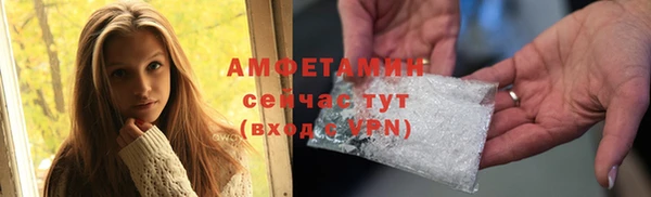 шишки Елизово