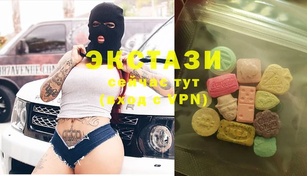 МДПВ Ельня
