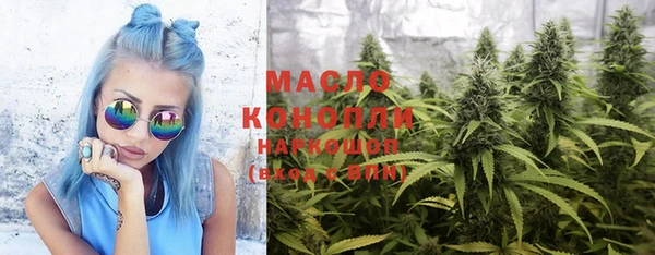 МДПВ Ельня