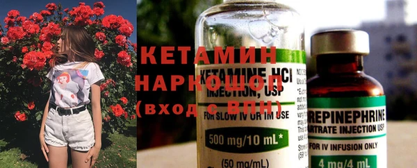 шишки Елизово