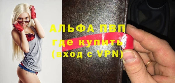 МДПВ Ельня