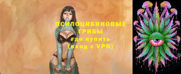 МДПВ Ельня