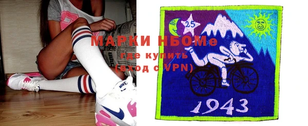 шишки Елизово