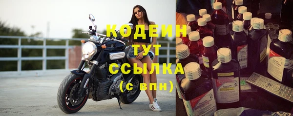 шишки Елизово