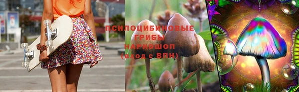 МДПВ Ельня