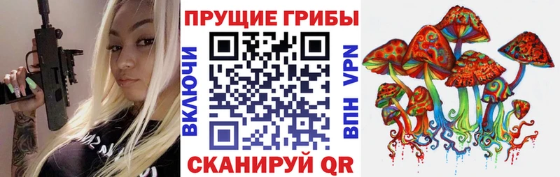 Купить  Пионерский  Псилоцибиновые грибы мухоморы 